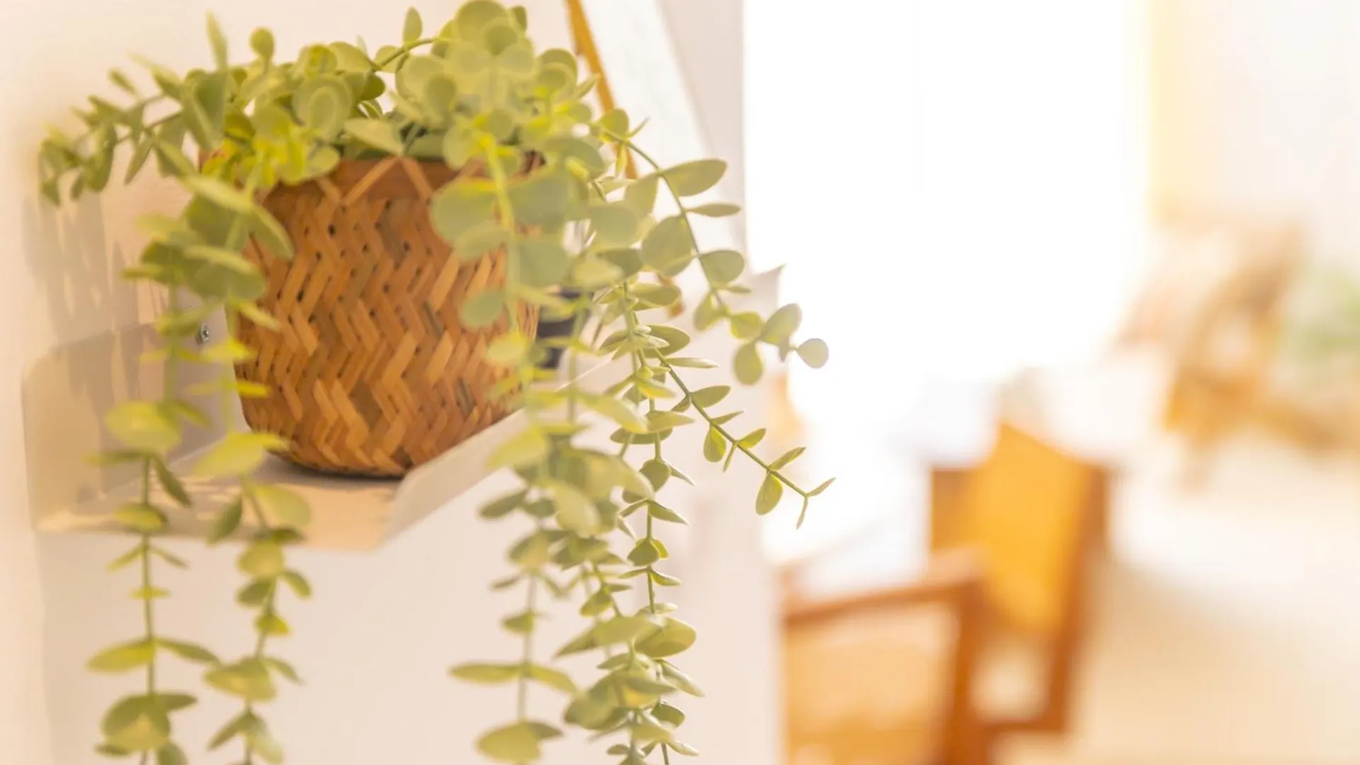 Appartamento Casa Gran Oasis - Con Garaje Privado Barbate